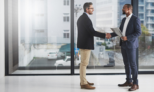 Business documents prepared for entity formation
